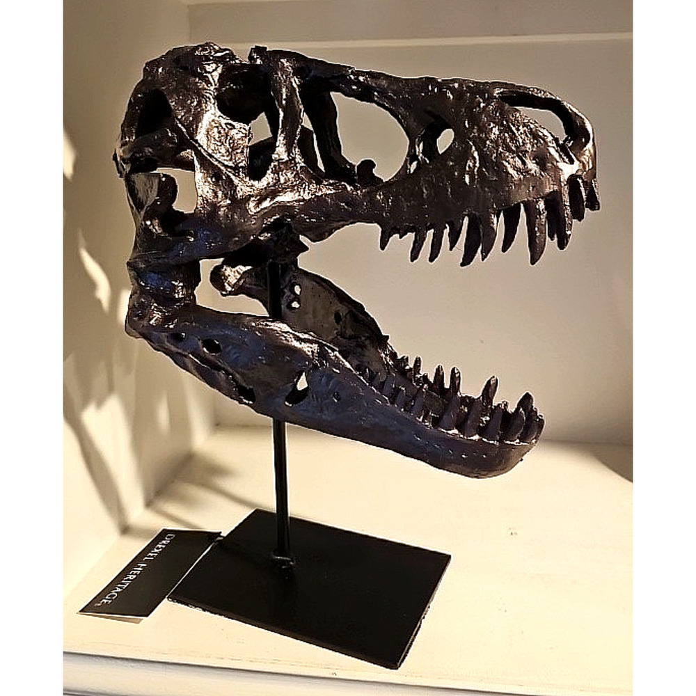 Super Coo Tyrannosaurus T-Rex Dk Gunmetal Resin Faux Skull Fossil New 12" Tall